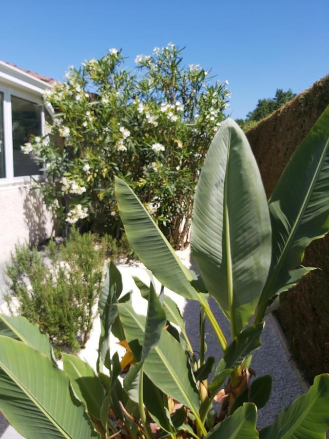 Le Soleil Couchant Angresse Eksteriør billede